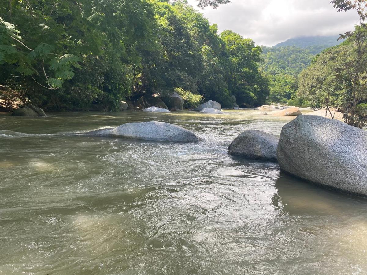 Wayanay Tayrona Eco Hostel El Zaino Ngoại thất bức ảnh