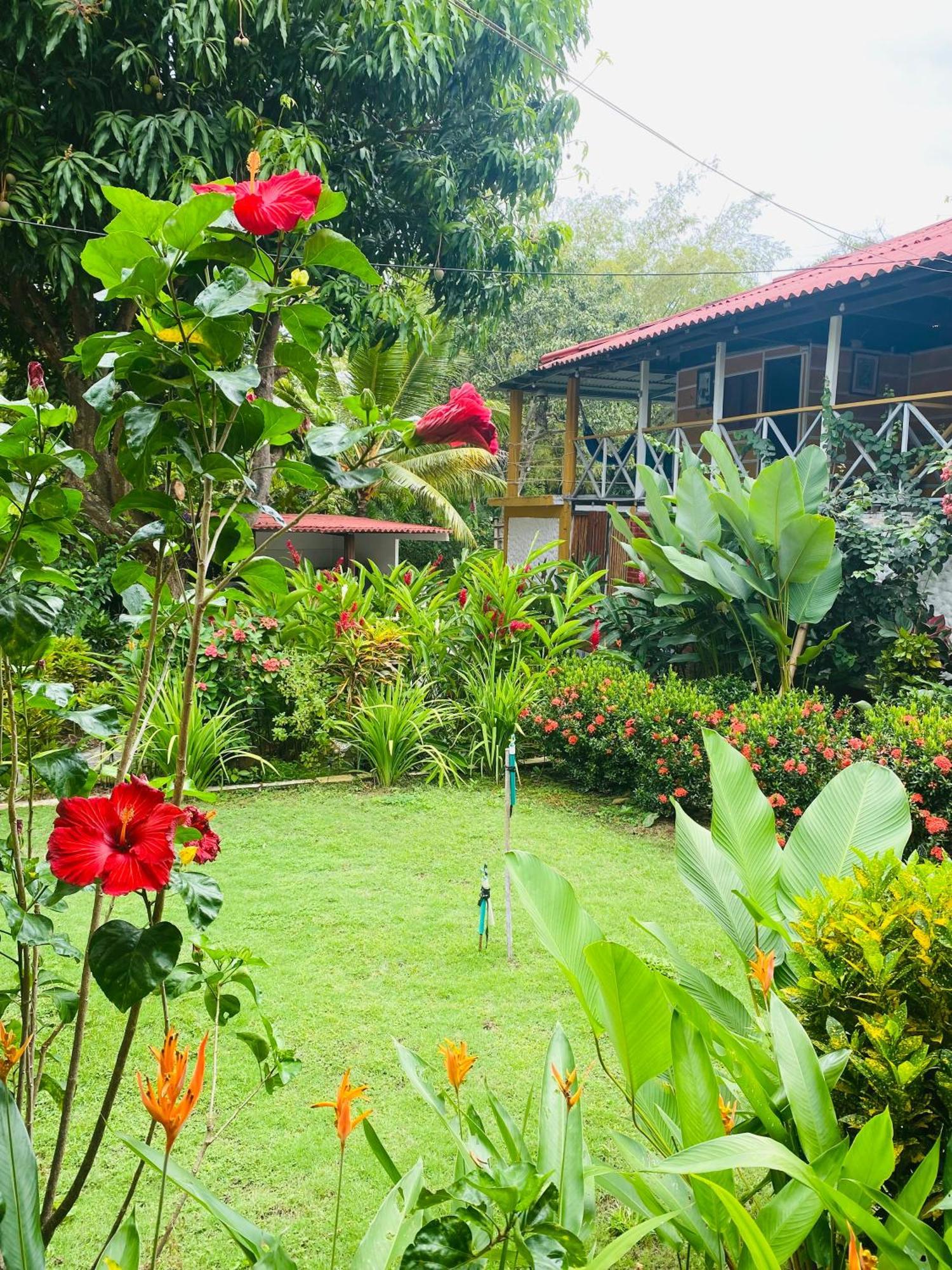 Wayanay Tayrona Eco Hostel El Zaino Ngoại thất bức ảnh