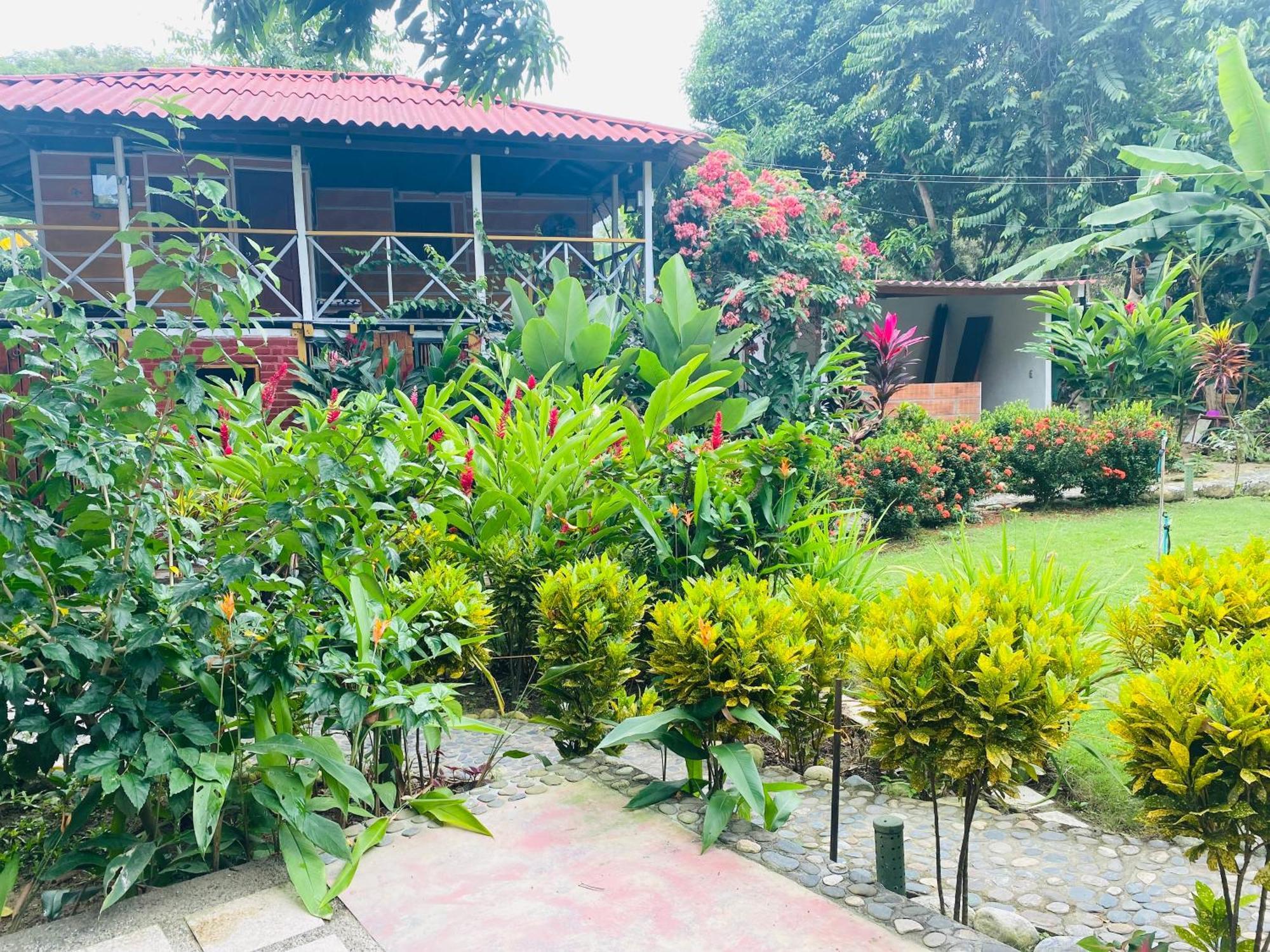 Wayanay Tayrona Eco Hostel El Zaino Ngoại thất bức ảnh