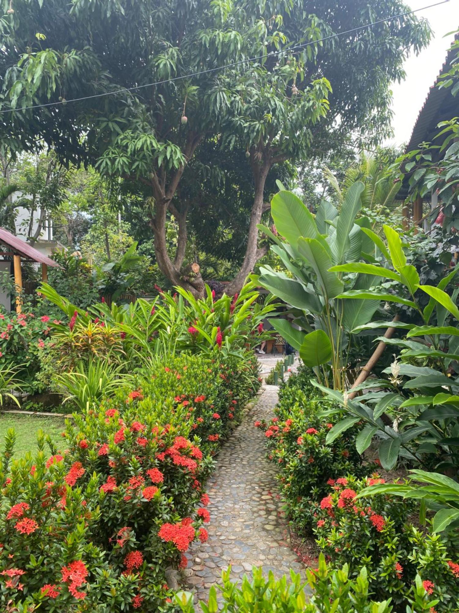 Wayanay Tayrona Eco Hostel El Zaino Ngoại thất bức ảnh