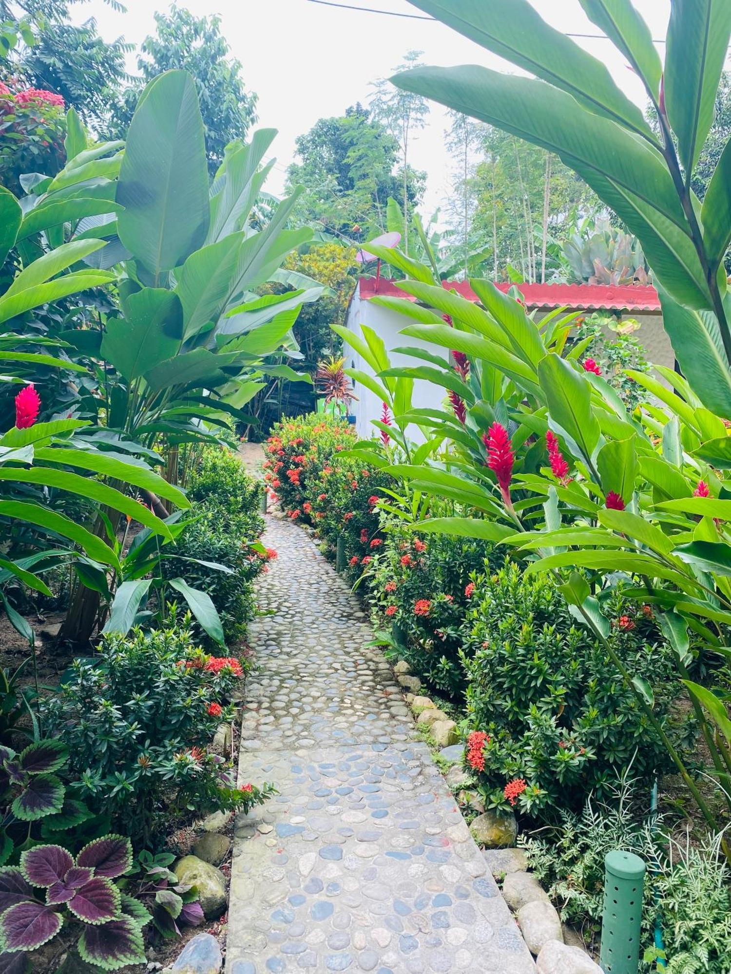 Wayanay Tayrona Eco Hostel El Zaino Ngoại thất bức ảnh