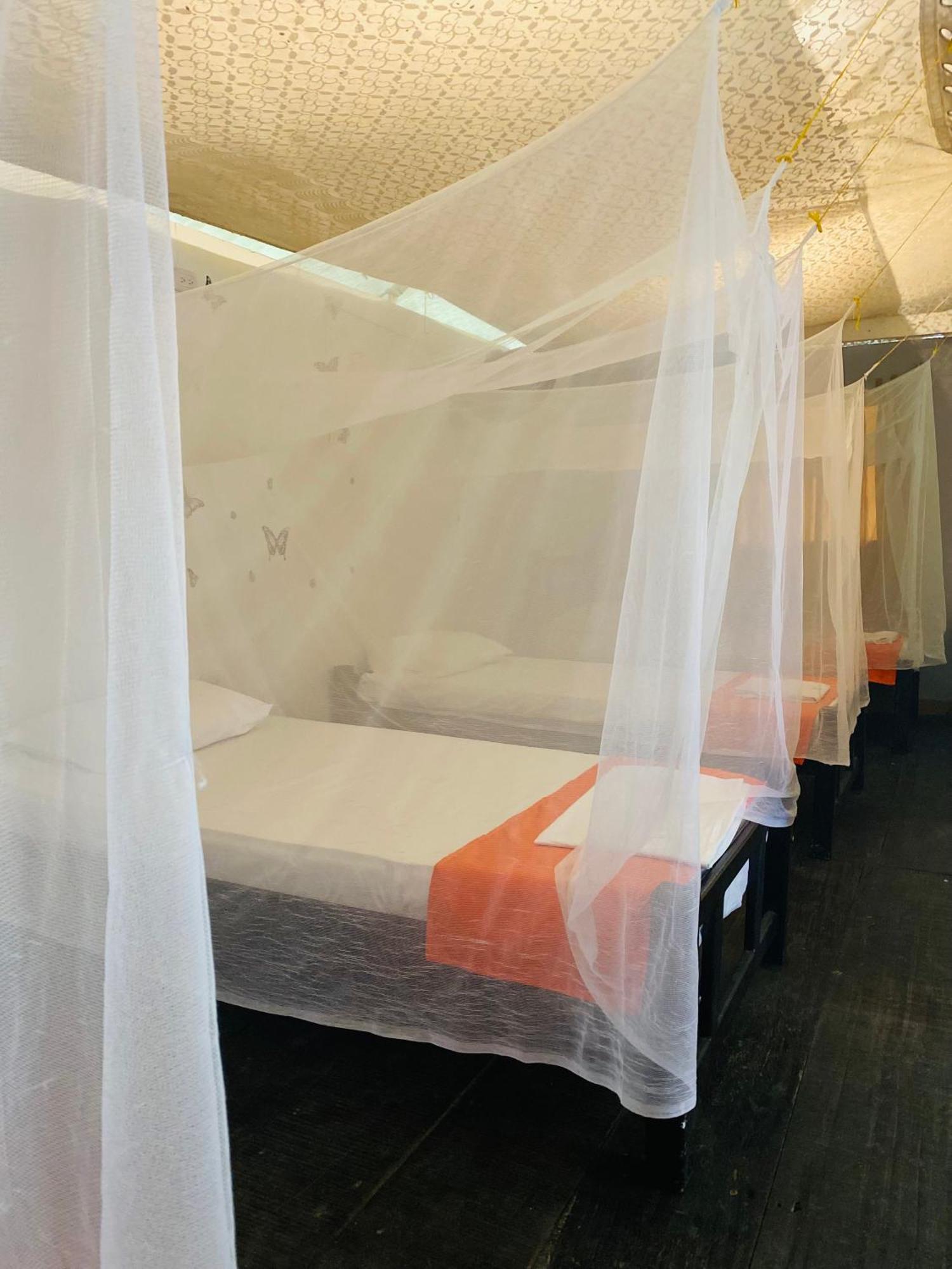 Wayanay Tayrona Eco Hostel El Zaino Ngoại thất bức ảnh